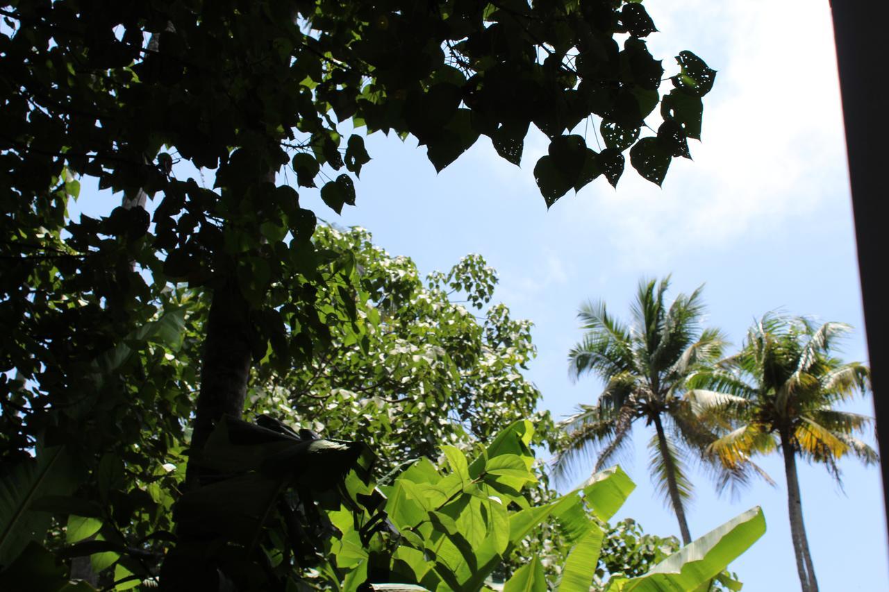 The Exotic Marigold Hotel Varkala Exterior photo